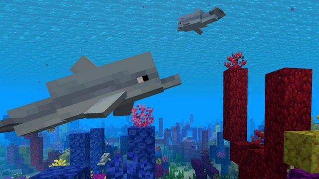 Minecraft Dolphins Guide: Can You Tame and Ride a Dolphin in Minecraft?