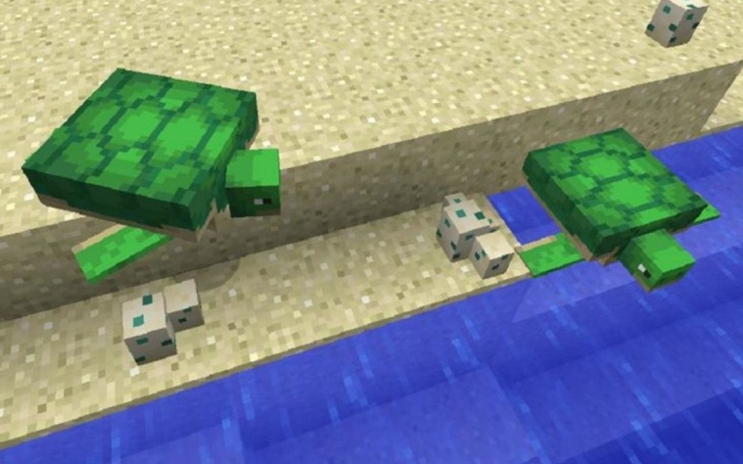 Minecraft Snapshot 18W07A Adds Turtles, Other Underwater Content