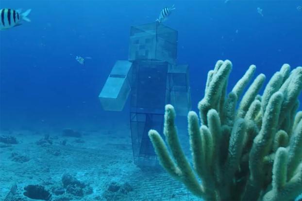 THIS IS HOW MINECRAFT IS HELPING TO REPAIR REAL CORAL REEFS IN MEXICO