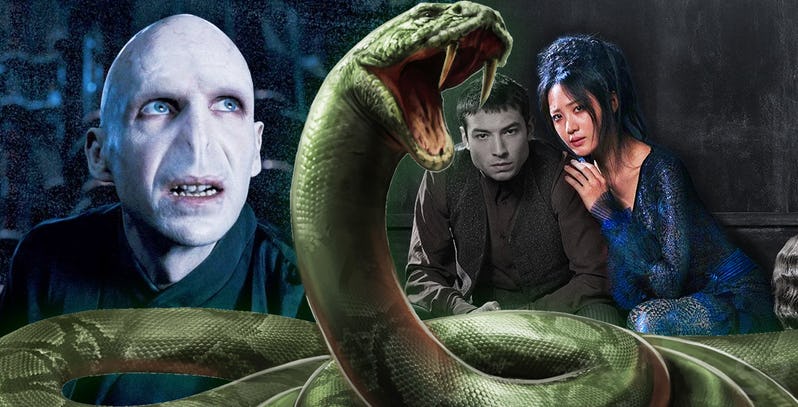 Fantastic Beasts Theory: Voldemort’s Snake (In Human Form) Is A Key ...